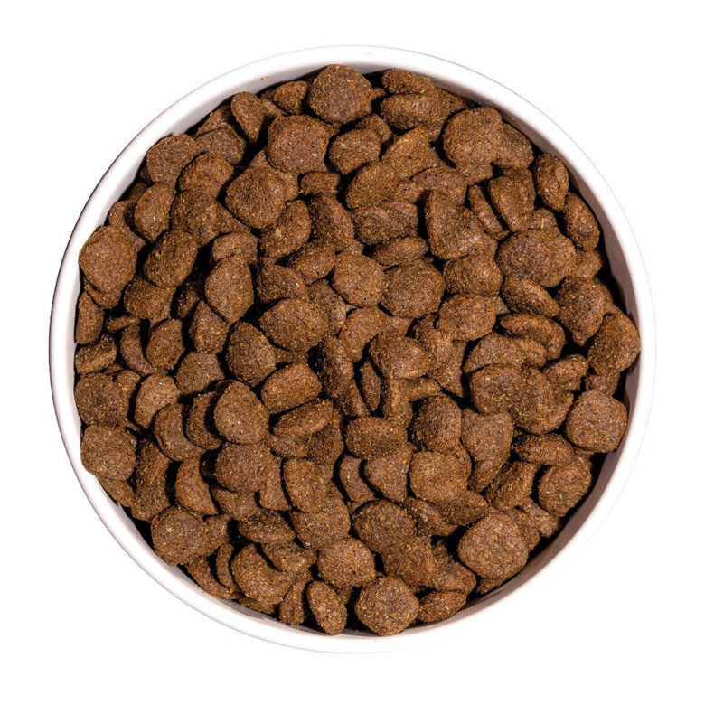 Ownat Ultra Medium Sterilized ração para cães,  Imagem número 4 Ownat Ultra Medium Sterilized ração para cães, , large Imagem número 4