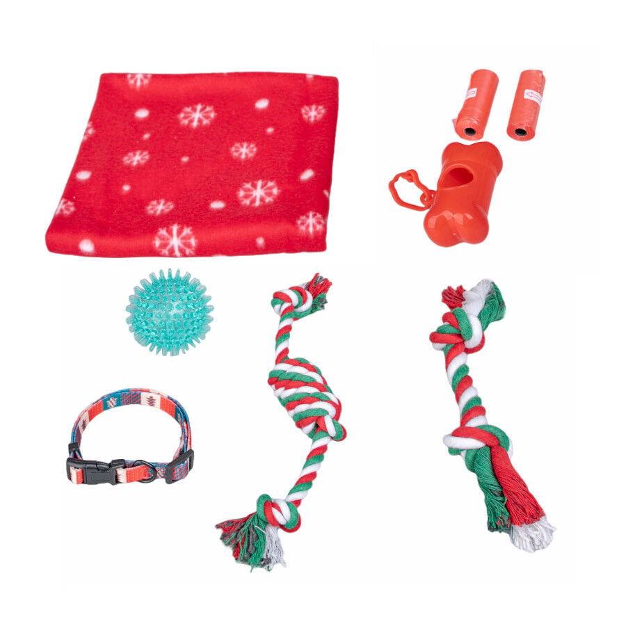 Wonder Christmas Caixa de Brinquedos de Natal para C&atilde;es, , large Imagem n&uacute;mero 2