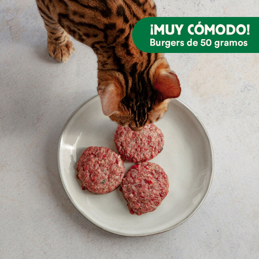 1 kg Wild Balance BARF Frango com Legumes Frescos alimenta&ccedil;&atilde;o natural congelada para gatos, , large Imagem n&uacute;mero 5