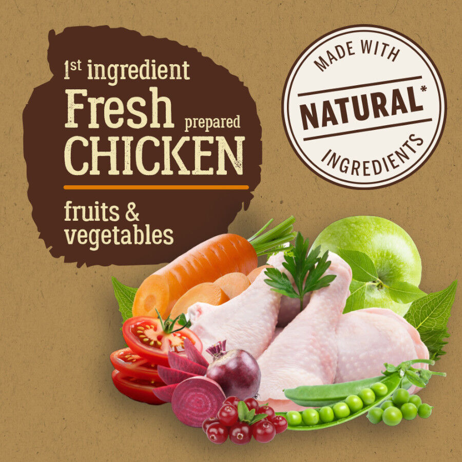 3 kg True Origins Pure Adult Mini Chicken Ra&ccedil;&atilde;o para c&atilde;es, , large Imagem n&uacute;mero 2