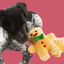Wonder Christmas Boneco de Gengibre peluche de Natal para cães - Pack 2, , large Indicador imagem número 3