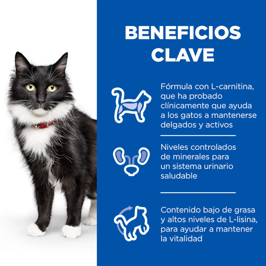 2 saquetas x 85 g Hill's Science Plan Sterilised Mature Peixe Oce&aacute;nico saqueta de molho para gatos Pack poupan&ccedil;a!, , large Imagem n&uacute;mero 4