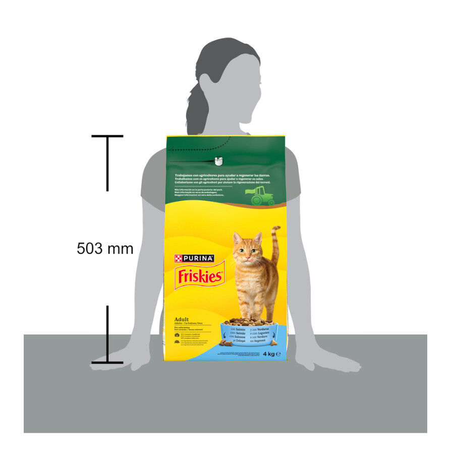 4 kg Purina Friskies Ra&ccedil;&atilde;o para Gato Adulto com Salm&atilde;o e Legumes, , large Imagem n&uacute;mero 7