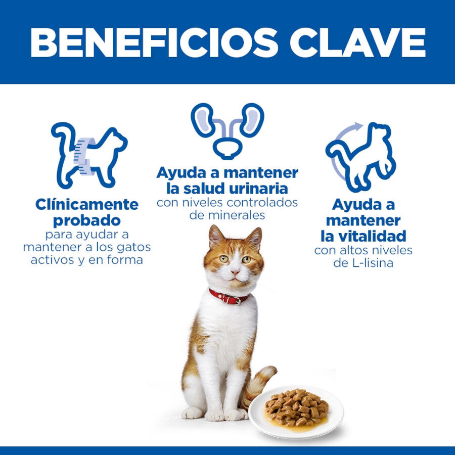 85 g Hill's Science Plan Sterilized Young Adult Salm&atilde;o saquetas para gatos, , large Imagem n&uacute;mero 5