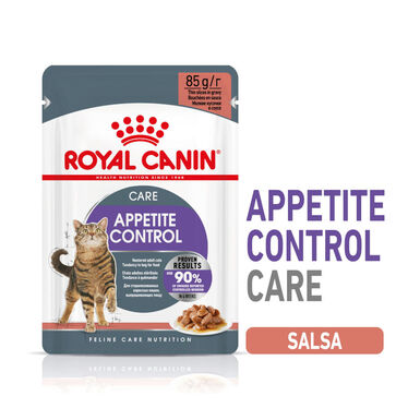 Royal Canin Appetite Control Care comida húmeda en salsa para gato