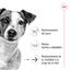 195 g Royal Canin Mini 8+ Ageing lata para cães, , large Indicador imagem número 4