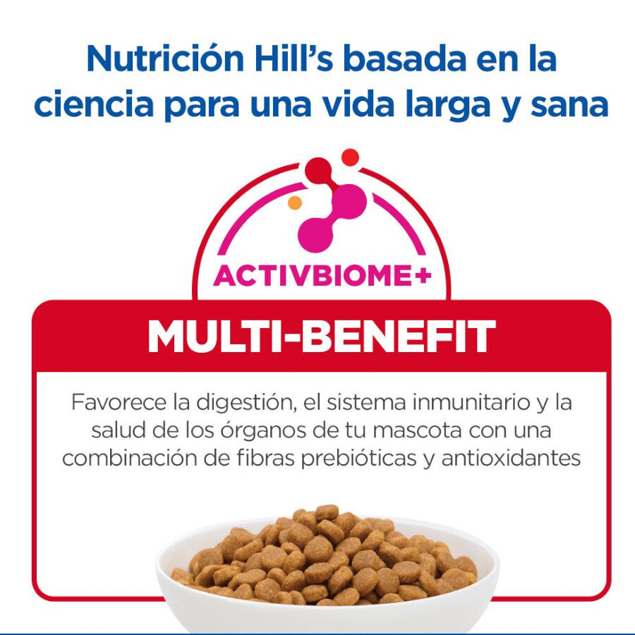 1.5 kg Hill's Small y Mini Senior Science Plan Frango ra&ccedil;&atilde;o para c&atilde;es, , large Imagem n&uacute;mero 7