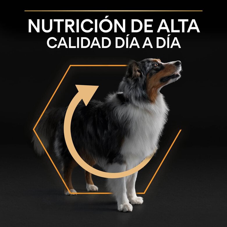 16.5 kg (14 + 2.5 kg grátis!) Pro Plan Medium Adult Frango ração para cães,  Imagem número 8 16.5 kg (14 + 2.5 kg grátis!) Pro Plan Medium Adult Frango ração para cães, , large Imagem número 8