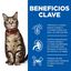 10 kg Hill's Adult Science Plan Cordeiro ração para gatos, , large Indicador imagem número 4