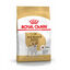 Royal Canin Adult Jack Russell Terrier ração para cães, , large Indicador imagem número 1
