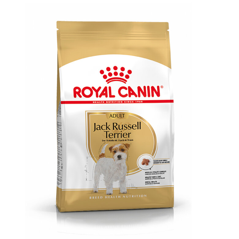 Royal Canin Adult Jack Russell Terrier ração para cães,  Imagem número 1 Royal Canin Adult Jack Russell Terrier ração para cães, , large Imagem número 1