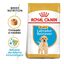 12 kg Royal Canin Puppy Labrador Retriever ração para cães, , large Indicador imagem número 2