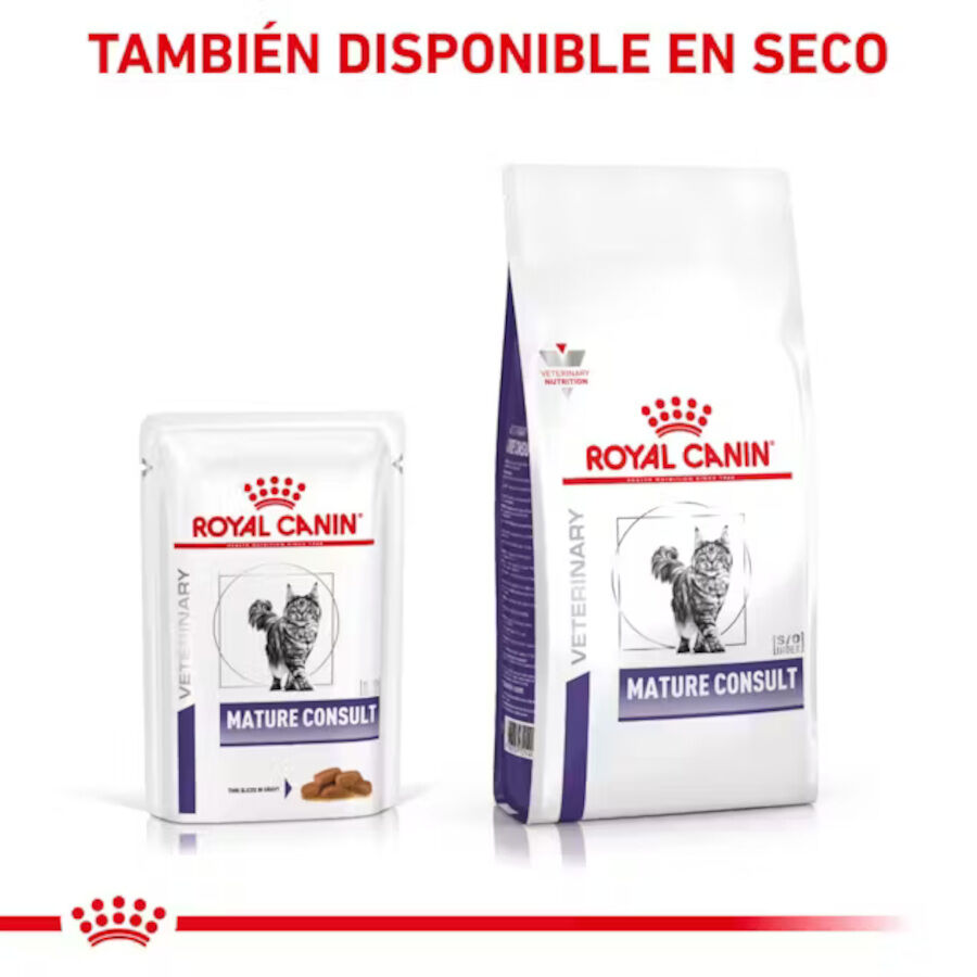 12 saquetas x 85 g Royal Canin Mature Consult L&aacute;minas em molho Sachet para gatos, , large Imagem n&uacute;mero 5