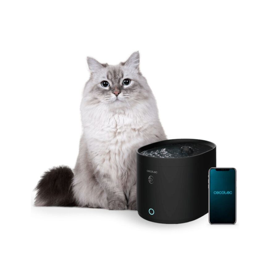 Cecotec Pumba 2500 Refresh Smart Bebedouro para gatos, , large Imagem n&uacute;mero 2