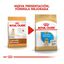 12 kg Royal Canin Puppy Labrador Retriever ração para cães, , large Indicador imagem número 3