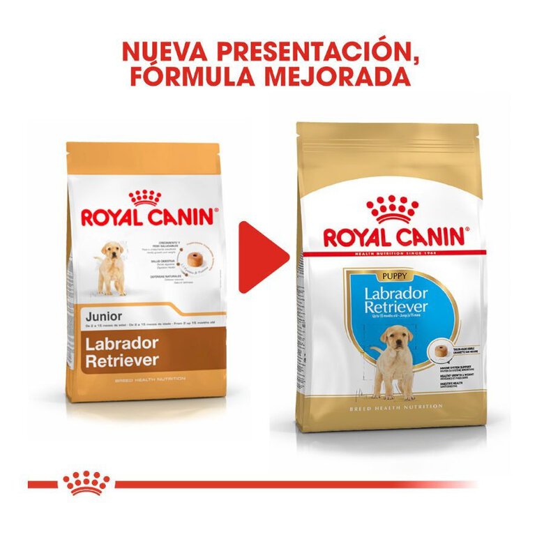 12 kg Royal Canin Puppy Labrador Retriever ração para cães,  Imagem número 3 12 kg Royal Canin Puppy Labrador Retriever ração para cães, , large Imagem número 3