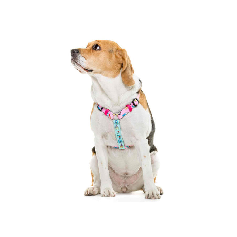 Dukier Clássico Peitoral com Estampado de Princesas para cães,  Imagem número 2 Dukier Clássico Peitoral com Estampado de Princesas para cães, , large Imagem número 2