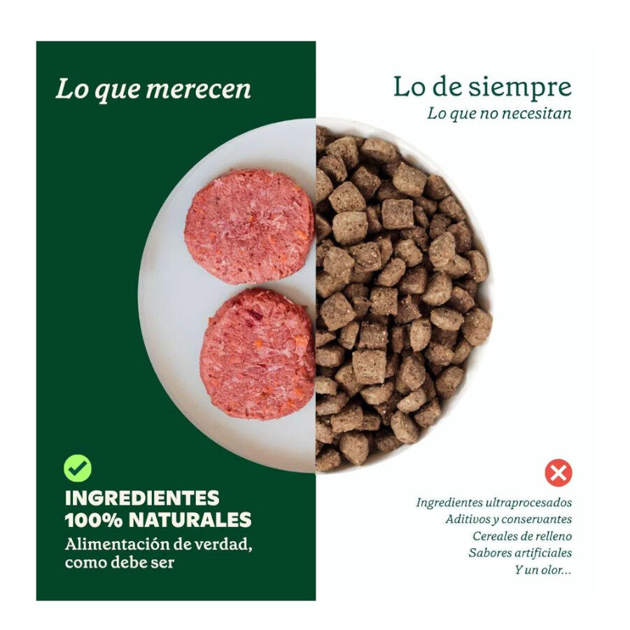1 kg Wild Balance BARF Salm&atilde;o com Legumes Frescos alimenta&ccedil;&atilde;o natural congelada para c&atilde;es, , large Imagem n&uacute;mero 2