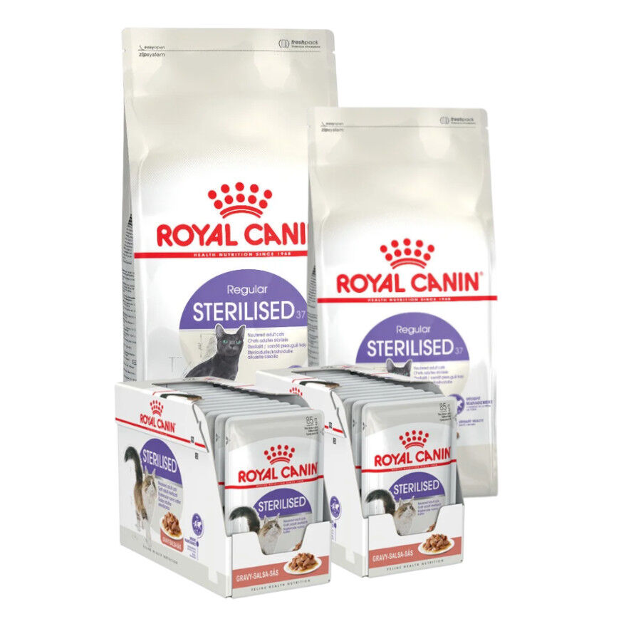 Royal Canin Pack 14 kg Alimento Esterilizado Regular + 24 sach&ecirc;s gr&aacute;tis Pack poupan&ccedil;a!, , large Imagem n&uacute;mero 1