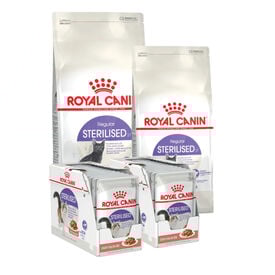 Pack Royal Canin Pack 14 kg Ração Esterilizado Regular + 24 Saquetas grátis Pack poupança!