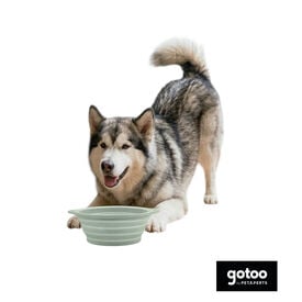 Gotoo Bebedouro Dobr&aacute;vel e Port&aacute;til em Silicone para c&atilde;es e gatos