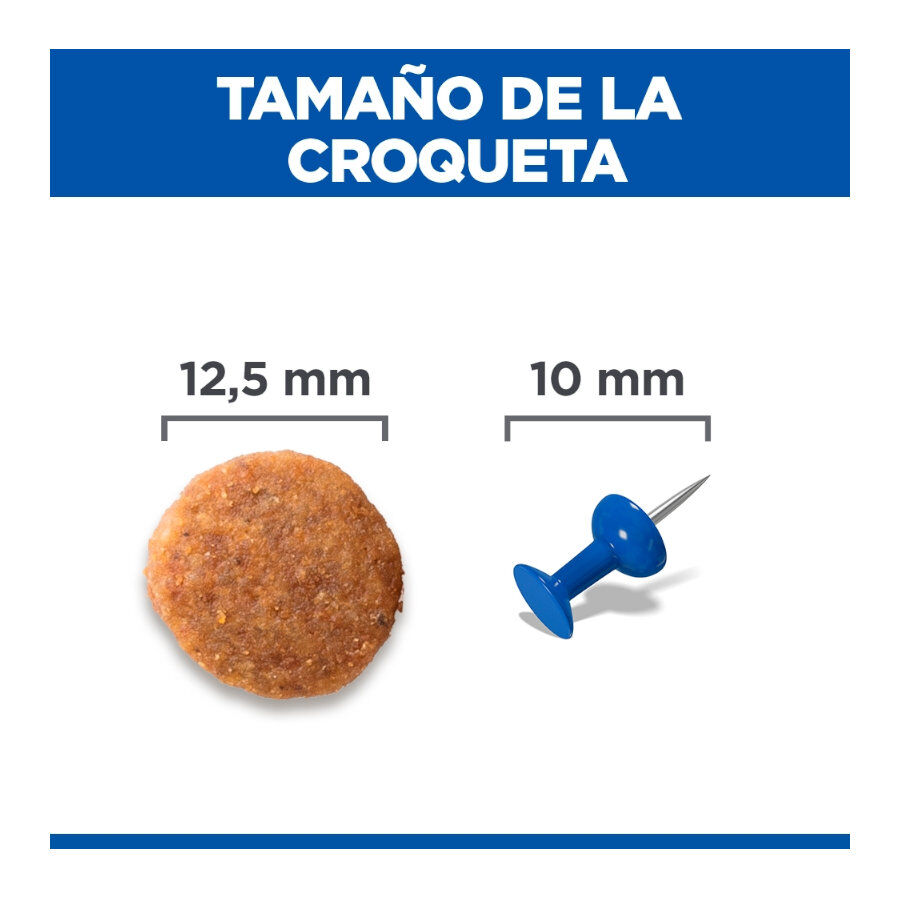 12 kg Hill's Science Plan Perfect Weight Adult Medium Frango ra&ccedil;&atilde;o para c&atilde;es, , large Imagem n&uacute;mero 4