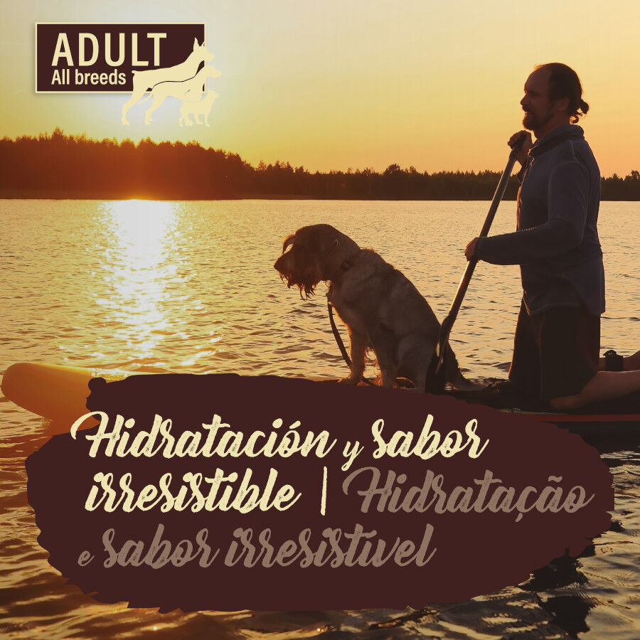 True Origins Pure Comida h&uacute;mida de salm&atilde;o com espinafres em saquetas para c&atilde;es , , large Imagem n&uacute;mero 4