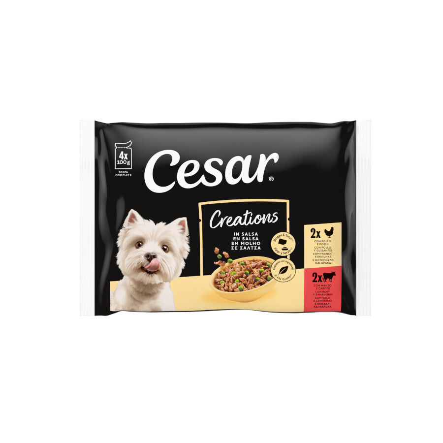4 saquetas x 100 g Cesar Mistura de Carnes Geleia em Saquinho para C&atilde;es - Multipack, , large Imagem n&uacute;mero 1