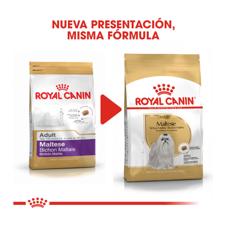 1.5 kg Royal Canin Adult Bich&oacute;n Malt&ecirc;s ra&ccedil;&atilde;o para c&atilde;es , , large Imagem n&uacute;mero 3