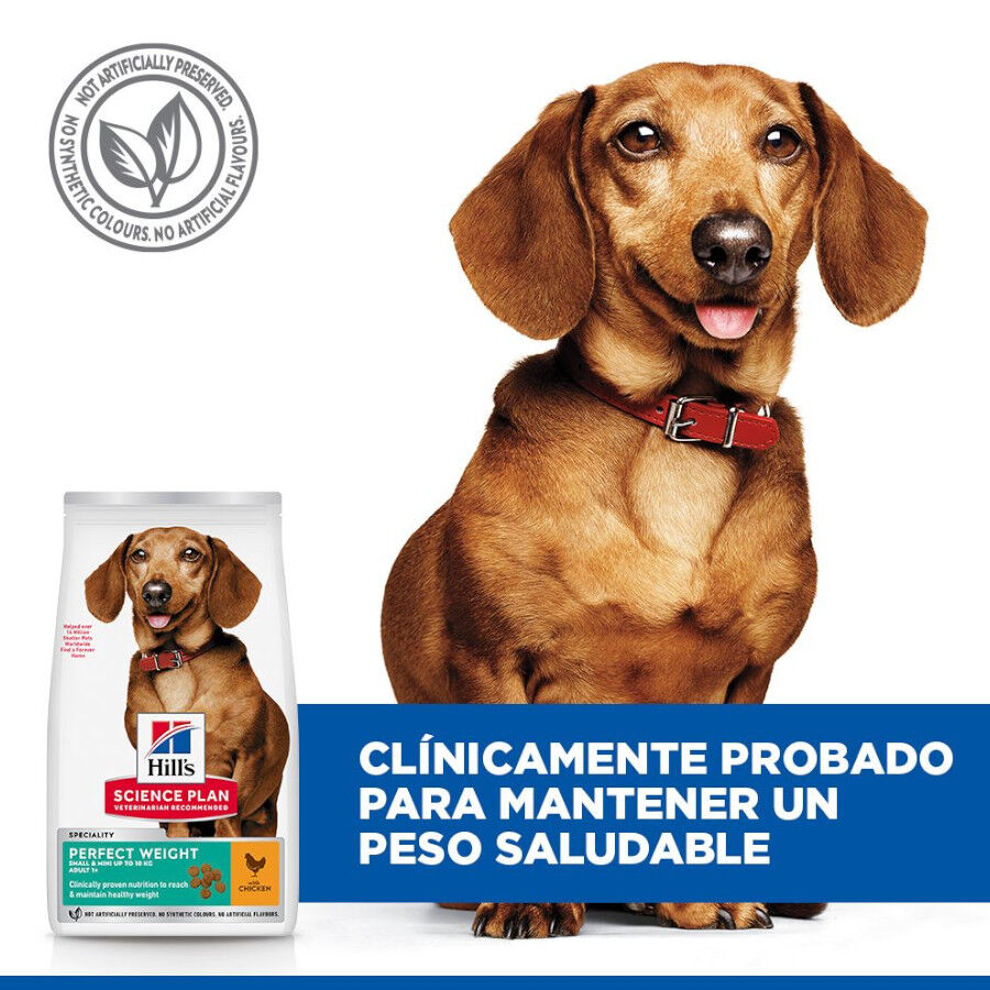1.5 kg Hill's Science Plan Perfect Weight Adult Small & Mini Ra&ccedil;&atilde;o para c&atilde;es, , large Imagem n&uacute;mero 6