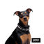 Gotoo Coleira mesh cinza para cães, , large Indicador imagem número 3