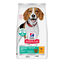 12 kg Hill's Science Plan Perfect Weight Adult Medium Frango ra&ccedil;&atilde;o para c&atilde;es, , large Indicador imagem n&uacute;mero 1