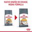 10 kg Royal Canin HaireSkin ração para gatos, , large Indicador imagem número 2