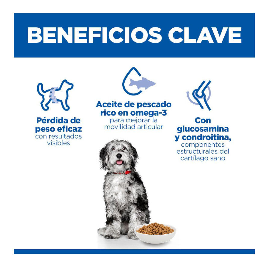 Hill's Science Plan Perfect Weight e Active Mobility Medium Frango ra&ccedil;&atilde;o para c&atilde;es, , large Imagem n&uacute;mero 3