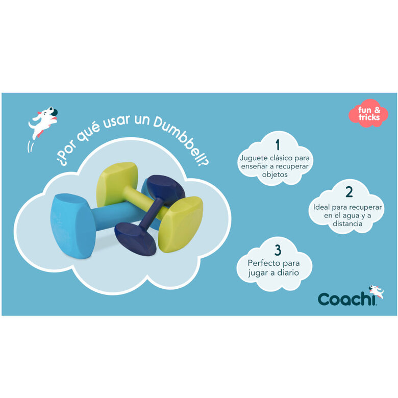 Coachi Halter de brinquedo limão médio para cães,  Imagem número 3 Coachi Halter de brinquedo limão médio para cães, , large Imagem número 3