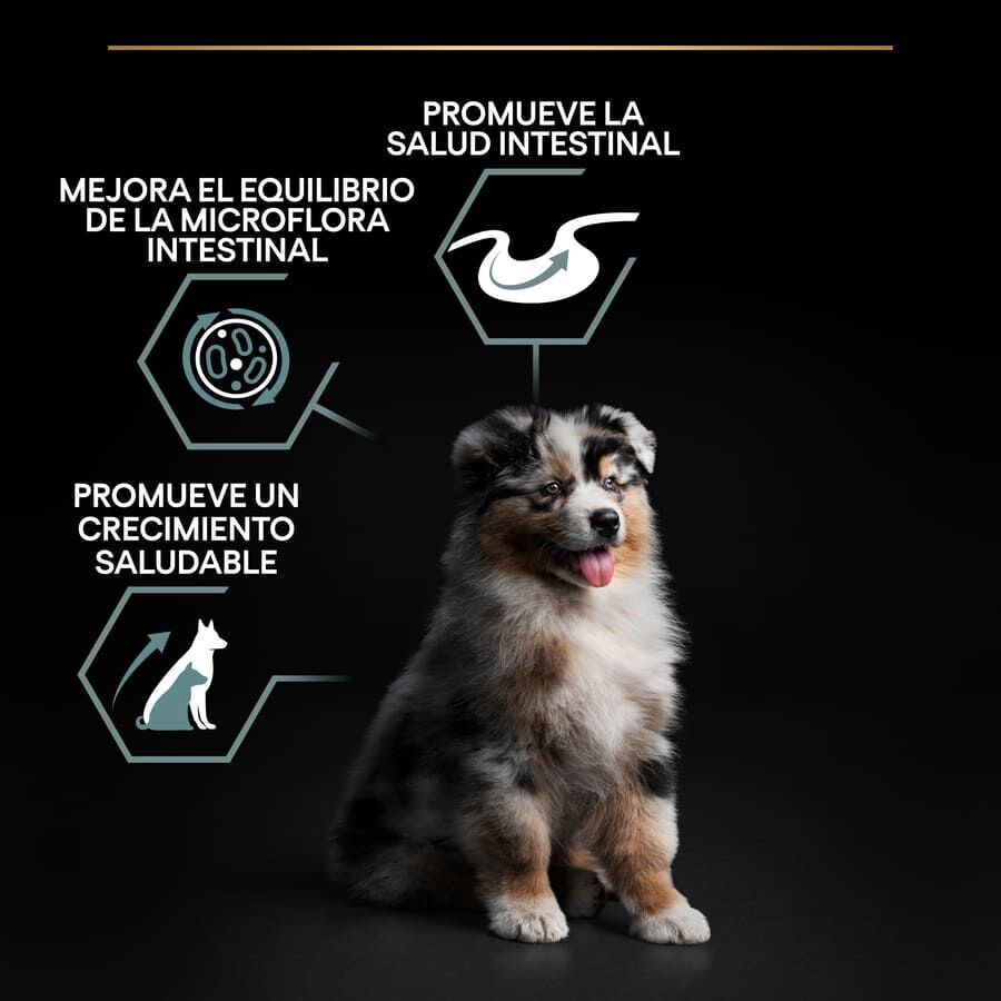 12 kg Pro Plan Puppy  Medium Digest&atilde;o Cordeirora&ccedil;&atilde;o para c&atilde;es, , large Imagem n&uacute;mero 3
