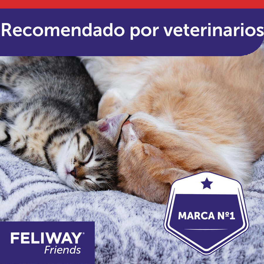 Feliway Friends Difusor + Recarga para gatos, , large Imagem n&uacute;mero 6