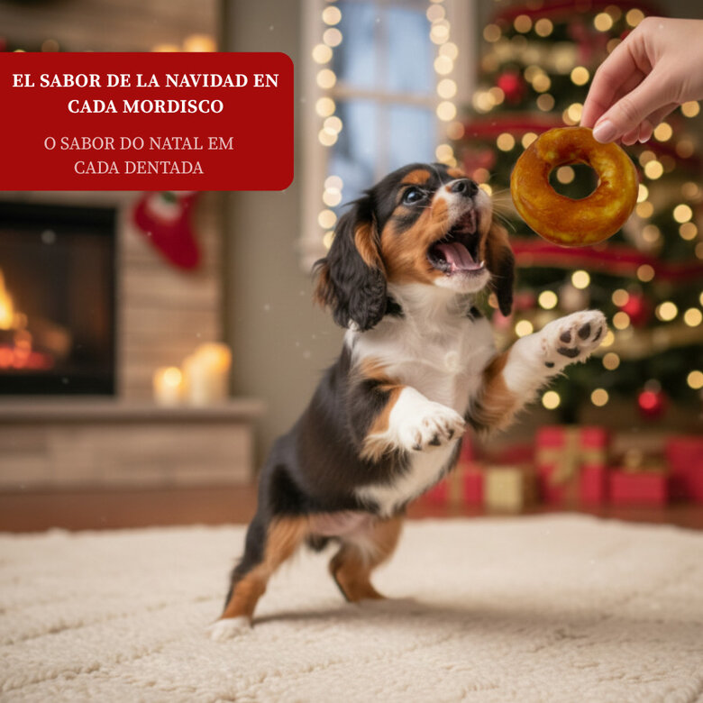 130 g Wonder Christmas Donut para perros,  Imagem número 4 130 g Wonder Christmas Donut para perros, , large Imagem número 4