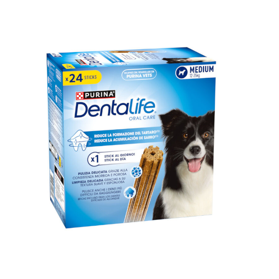 24 sticks Purina Dentalife Medium Multipack para c&atilde;es ra&ccedil;a m&eacute;dia, , large Imagem n&uacute;mero 1
