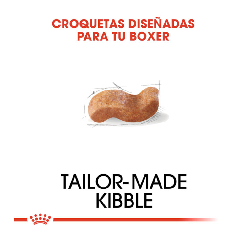 12 kg Royal Canin Adult Boxer ração para cães,  Imagem número 5 12 kg Royal Canin Adult Boxer ração para cães, , large Imagem número 5