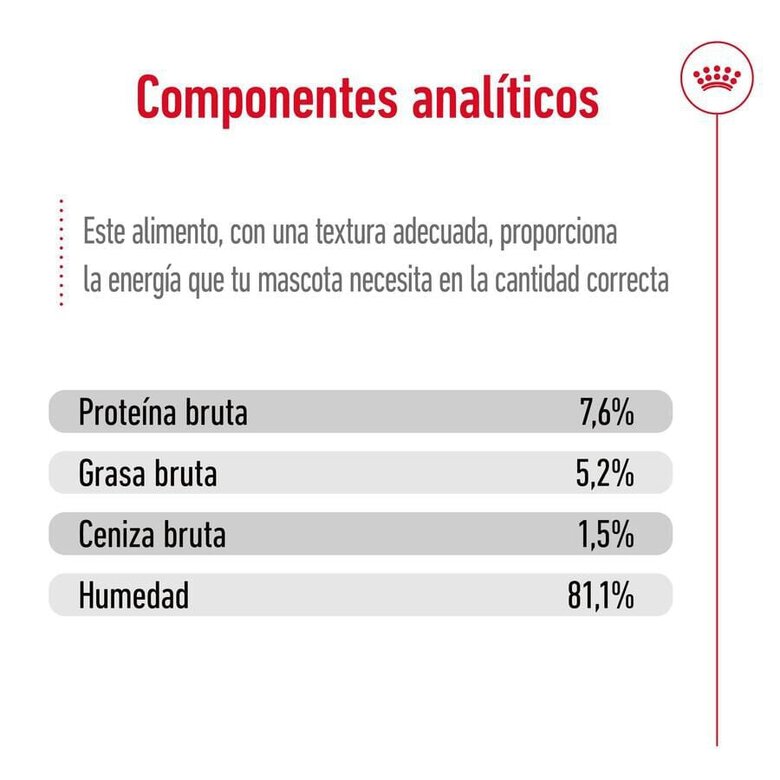 85 g Royal Canin Mini Adult saqueta em molho para cães,  Imagem número 6 85 g Royal Canin Mini Adult saqueta em molho para cães, , large Imagem número 6