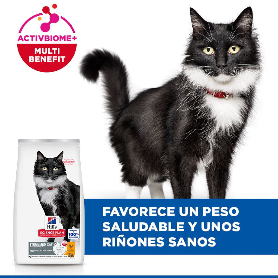 1.5 kg Hill's Mature Adult Science Plan Sterilised Frango ra&ccedil;&atilde;o para gatos, , large Imagem n&uacute;mero 4