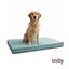 Leeby Colch&atilde;o riscas finas para c&atilde;es, , large Indicador imagem n&uacute;mero 7