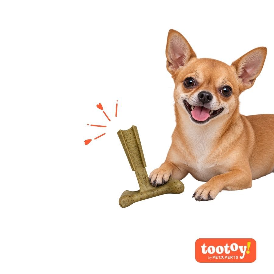 Tootoy! Chew Mordedor Osso em T com Sabor a Frango para c&atilde;es, , large Imagem n&uacute;mero 7