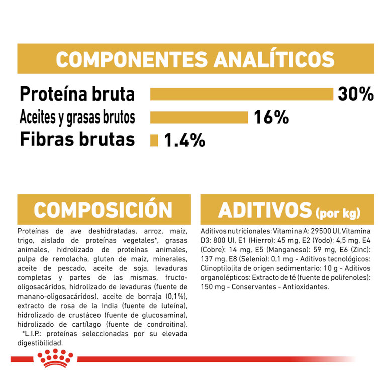 Royal Canin Adult Jack Russell Terrier ração para cães,  Imagem número 7 Royal Canin Adult Jack Russell Terrier ração para cães, , large Imagem número 7