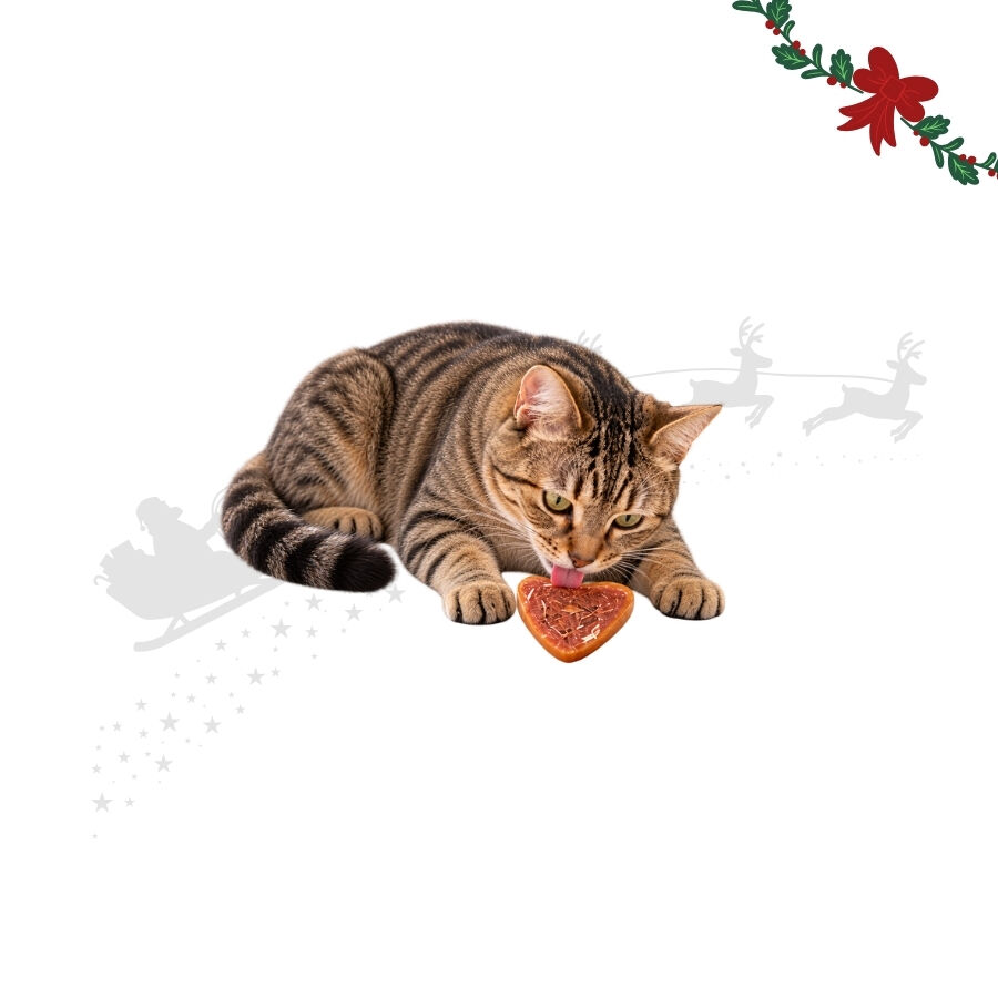 1 pacote Wonder Christmas Cora&ccedil;&otilde;es de Frango Snacks para gatos, , large Imagem n&uacute;mero 1