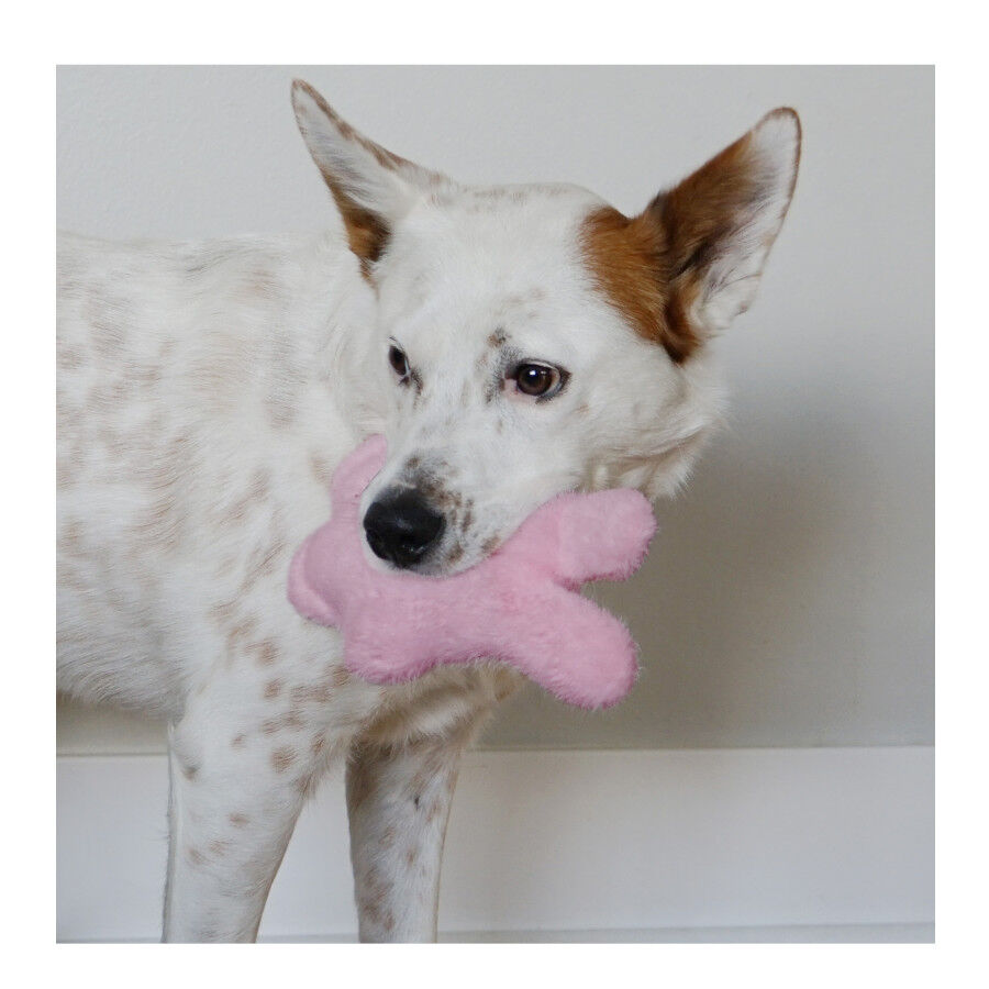 Kong Snuzzles Kiddos Coelho de Peluche para Cachorros, , large Imagem n&uacute;mero 2