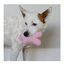 Kong Snuzzles Kiddos Coelho de Peluche para Cachorros, , large Indicador imagem número 2