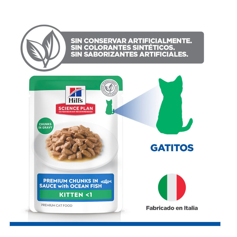 85 g Hill's Kitten Science Plan Peixe Azul saqueta em molho, , large Imagem n&uacute;mero 5