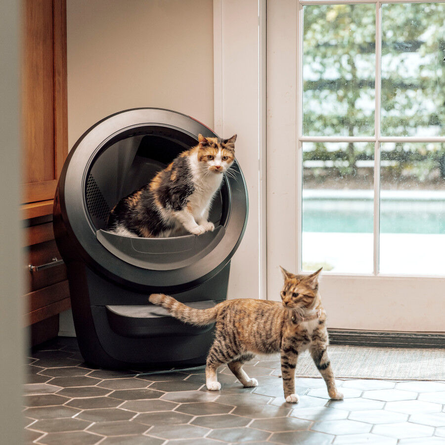 Litter-Robot Caixa de Areia Autom&aacute;tica Preta para gatos, , large Imagem n&uacute;mero 5